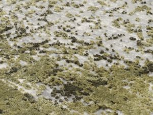 Farbe 445 - Perspektive 7