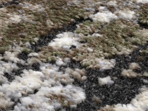 Farbe 646 - Perspektive 7