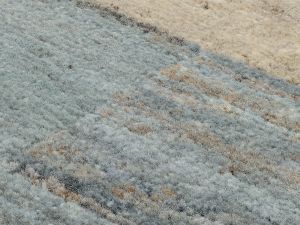 Farbe C35 - Perspektive 7