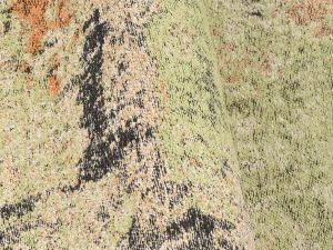 Farbe 598 - Perspektive 6