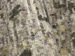 Farbe 963 - Perspektive 6