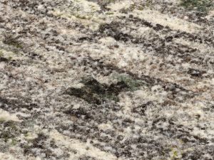 Farbe 963 - Perspektive 7