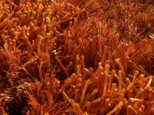 Farbe 443 - Perspektive 7