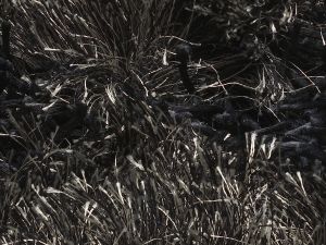 Farbe 478 - Perspektive 7