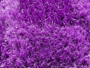 Farbe 482 - Perspektive 6