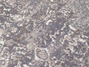 Farbe 547 - Perspektive 7