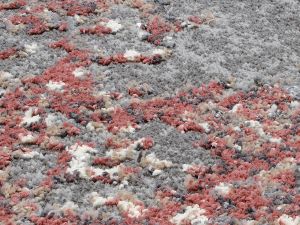 Farbe 674 - Perspektive 7