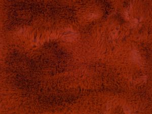 Farbe 421 - Perspektive 7