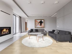 Farbe 661 - Perspektive 21