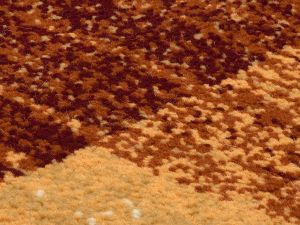 Farbe 421 - Perspektive 7