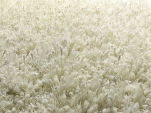 Farbe 500 - Perspektive 7