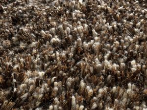 Farbe 528 - Perspektive 7