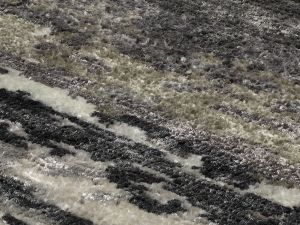 Farbe 448 - Perspektive 7