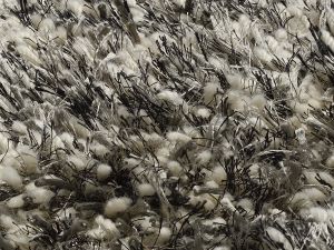 Farbe 825 - Perspektive 7
