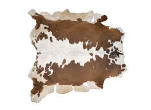 Farbe 547 - Perspektive 2