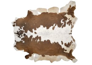 Farbe 547 - Perspektive 27