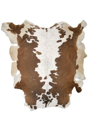 Farbe 547 - Perspektive 28