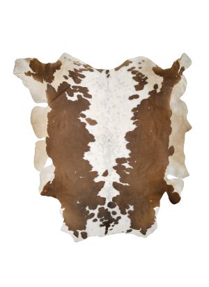 Farbe 547 - Perspektive 29