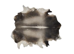 Farbe 601 - Perspektive 2