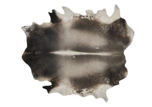 Farbe 601 - Perspektive 27