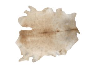 Farbe 609 - Perspektive 2