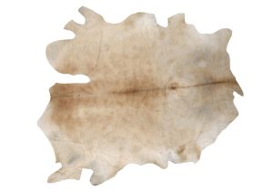 Farbe 609 - Perspektive 27