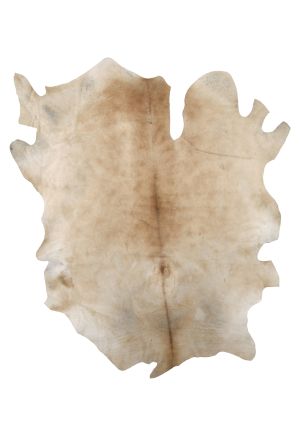 Farbe 609 - Perspektive 28