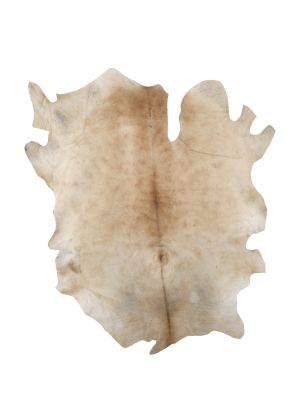 Farbe 609 - Perspektive 29