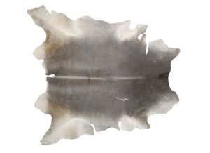 Farbe 669 - Perspektive 2