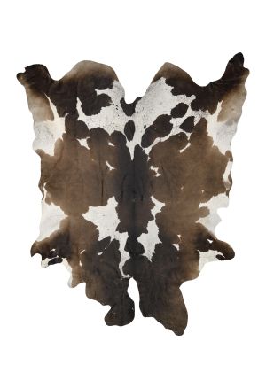 Farbe 676 - Perspektive 29