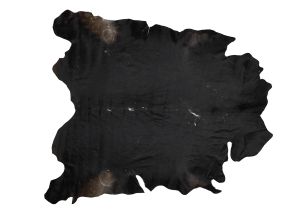 Farbe 683 - Perspektive 2