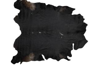 Farbe 683 - Perspektive 27