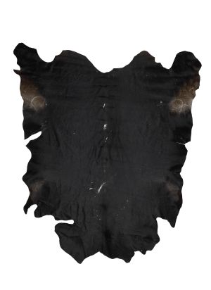 Farbe 683 - Perspektive 29