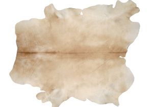 Farbe 685 - Perspektive 27