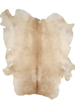 Farbe 685 - Perspektive 28
