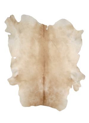 Farbe 685 - Perspektive 29