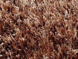 Farbe 455 - Perspektive 7