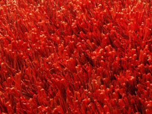 Farbe 687 - Perspektive 7