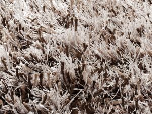 Farbe 903 - Perspektive 7