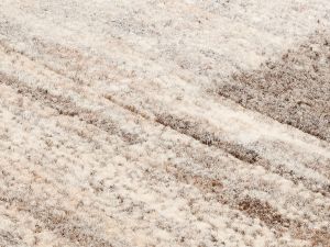 Farbe 559 - Perspektive 7