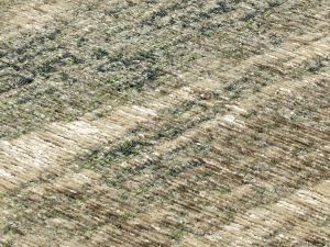 Farbe 171 - Perspektive 7